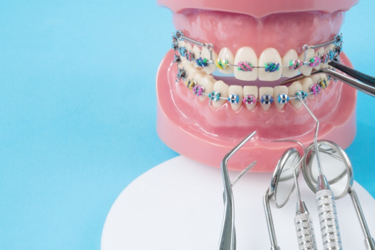 How Does Dental Insurance Work? Cigna Healthcare