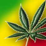 How to Apply Facility Information Medical Marijuana Health Services Regulation Health & Senior Services