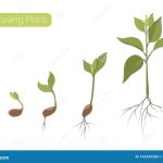 The 3 Biggest Changes in 5 Years and How to Adapt to Them for Success