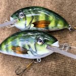 Unleash Your Creativity with Custom Lures