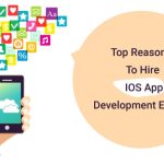 Crafting Future-Ready Mobile Solutions: A Deep Dive into iOS App Development