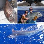 Discover the Ultimate Angling Adventures on Hawaii’s Big Island