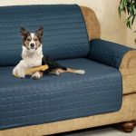 Revolutionizing Comfort: The Rise of Pet Furniture